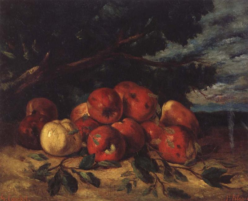 Gustave Courbet Red apples at the Foot of a Tree Norge oil painting art